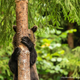 Imagen para el artículo titulado Estas son las fotos de animales más divertidas de 2021, según los Comedy Wildlife Photography Awards